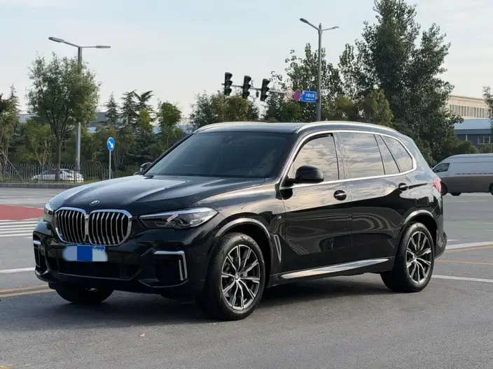 BMW X5 2022 Model xDrive 30Li M Sports Set – фото 1