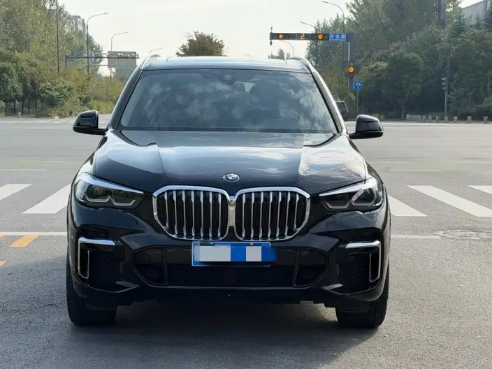 BMW X5 2022 Model xDrive 30Li M Sports Set – фото 2