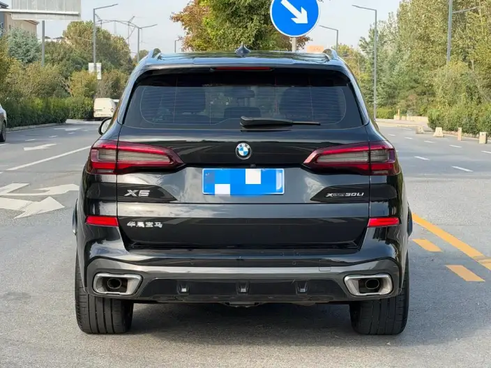 BMW X5 2022 Model xDrive 30Li M Sports Set – фото 4