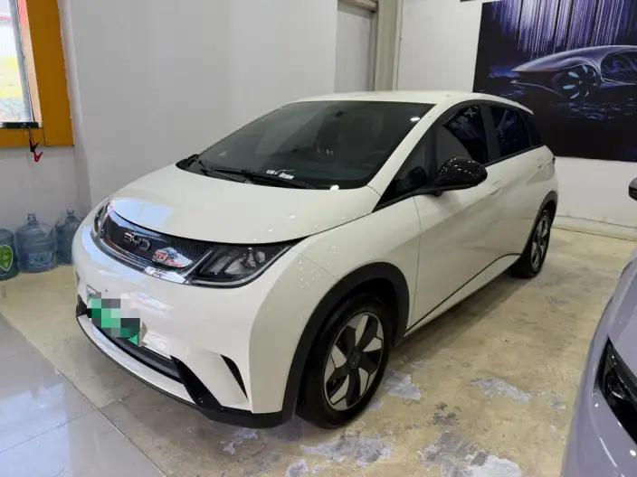 BYD Dolphin 2025 Model 420KM Free Edition – фото 1