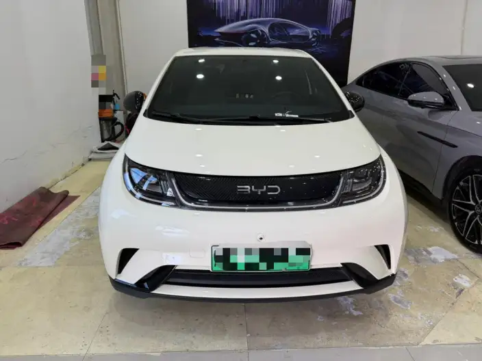 BYD Dolphin 2025 Model 420KM Free Edition – фото 2