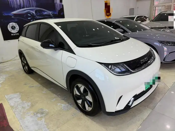 BYD Dolphin 2025 Model 420KM Free Edition – фото 3