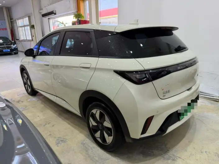 BYD Dolphin 2025 Model 420KM Free Edition – фото 4