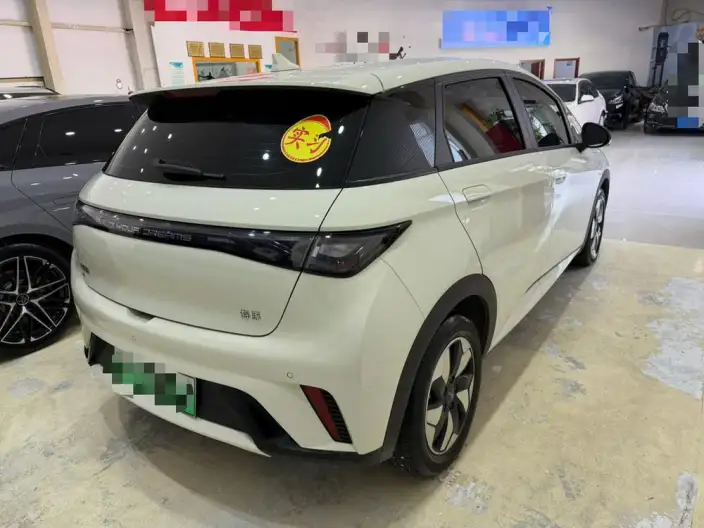 BYD Dolphin 2025 Model 420KM Free Edition – фото 6