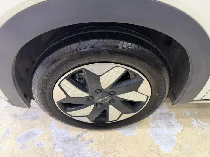 BYD Dolphin 2025 Model 420KM Free Edition – фото 8