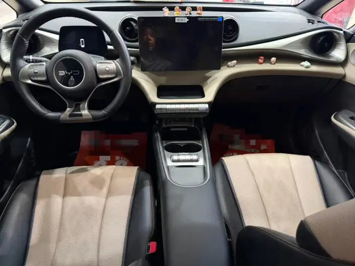 BYD Dolphin 2025 Model 420KM Free Edition – фото 10