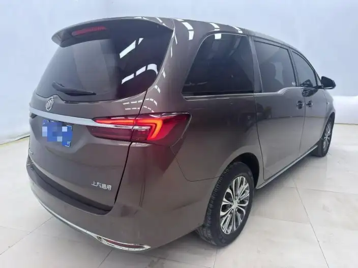 Buick GL8 2022 Model Business class 652T Luxury Model – фото 6