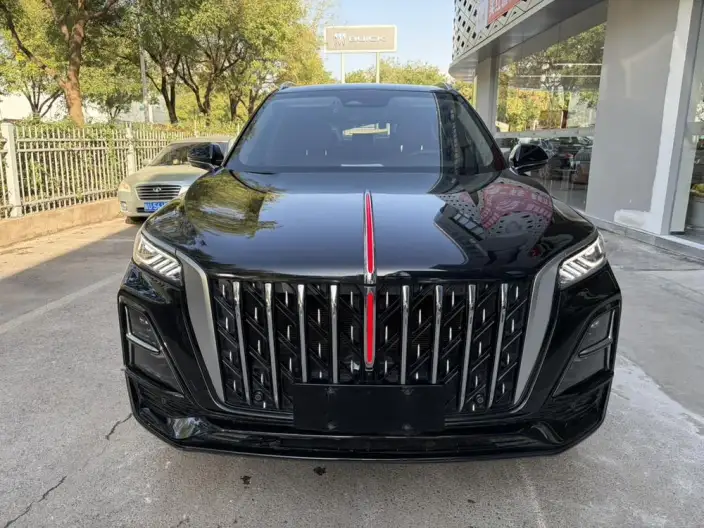 Hongqi HS5 2025 Model 2.0T 4WD Flag Xiang Pro Edition – фото 2