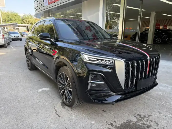 Hongqi HS5 2025 Model 2.0T 4WD Flag Xiang Pro Edition – фото 3