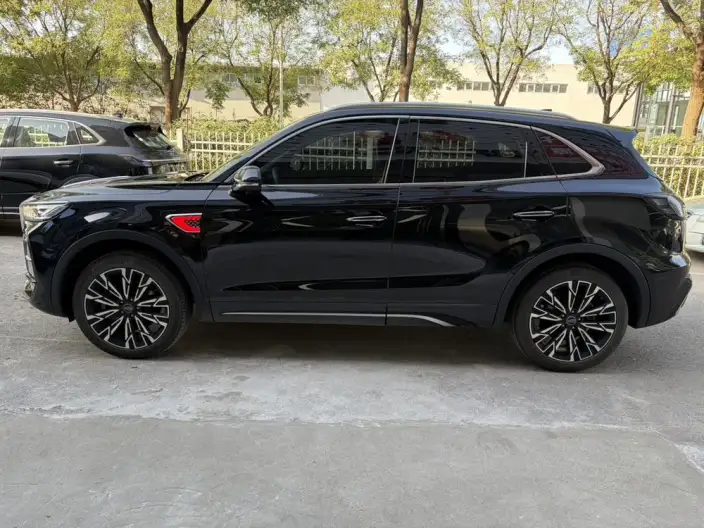 Hongqi HS5 2025 Model 2.0T 4WD Flag Xiang Pro Edition – фото 4