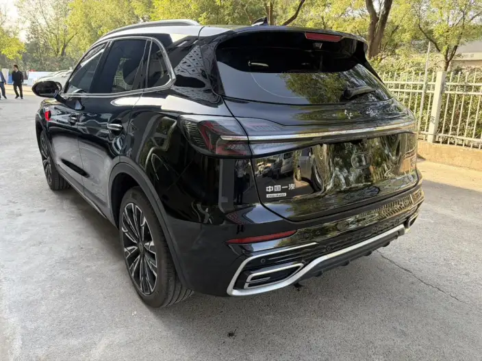Hongqi HS5 2025 Model 2.0T 4WD Flag Xiang Pro Edition – фото 5