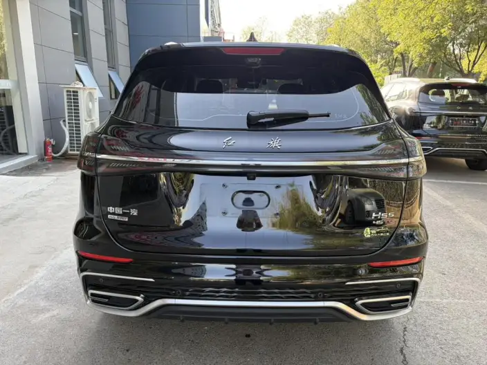 Hongqi HS5 2025 Model 2.0T 4WD Flag Xiang Pro Edition – фото 6