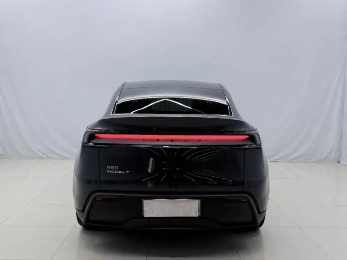 Model Y 2025 Model Rear-wheel drive version – фото 5