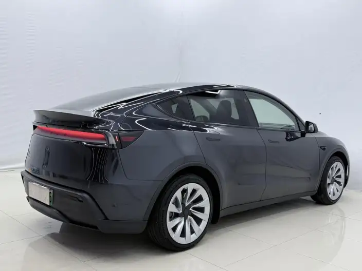 Model Y 2025 Model Rear-wheel drive version – фото 6