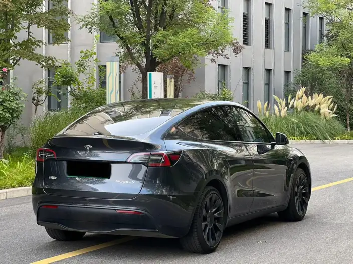 Model Y 2024 Model Rear-wheel drive version – фото 6
