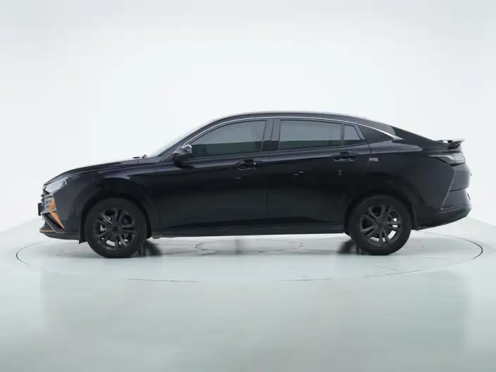 Yixuan 2024 Model 1.5L Automatic Speed Edition