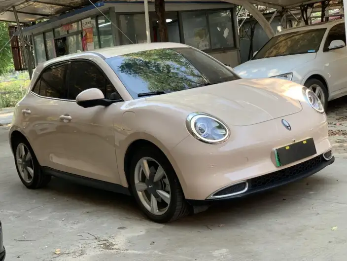 ORA Good Cat 2023 Model 401km Standard Battery Life Luxury Model Lithium Iron Phosphate – фото 3