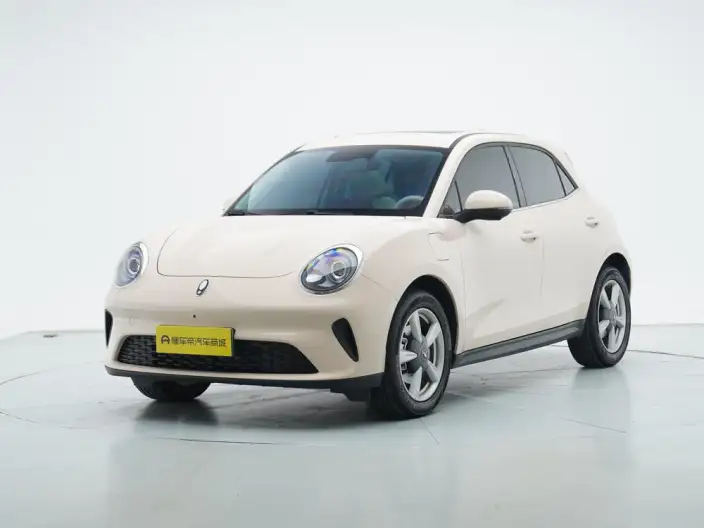 ORA Good Cat 2025 Model 430km Luxury Model