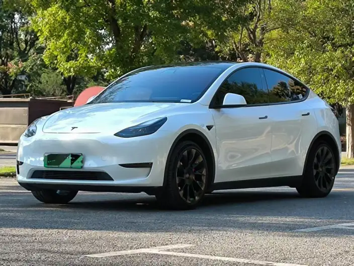 Model Y 2022 Model Facelift Rear-wheel drive version