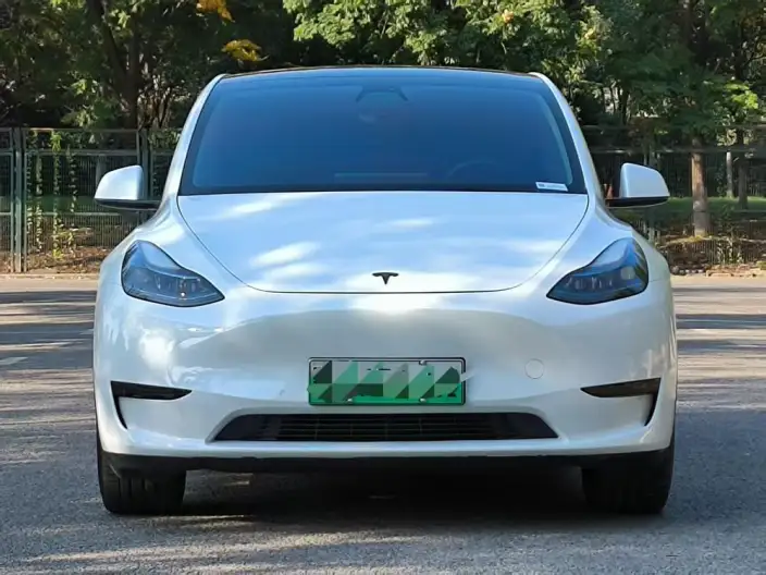 Model Y 2022 Model Facelift Rear-wheel drive version