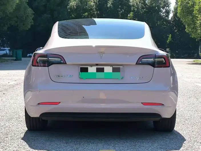 Model 3 2022 Model Rear-wheel drive version – фото 5