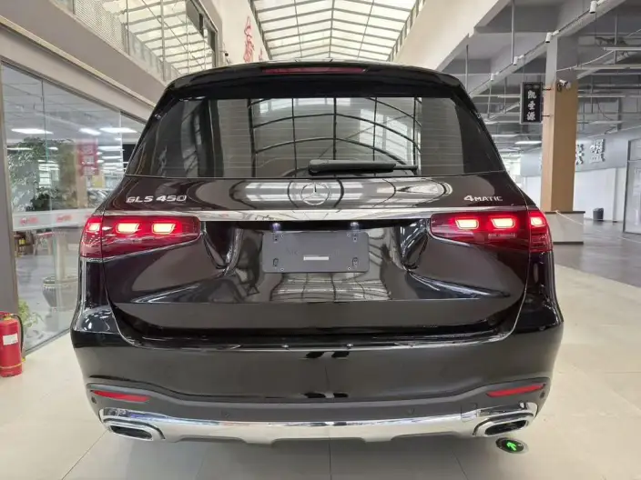 Mercedes-Benz GLS 2025 Model GLS 450 4MATIC Luxury Model – фото 5
