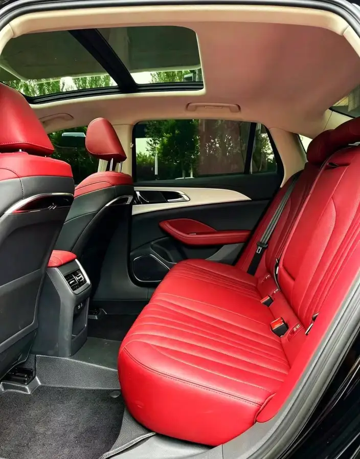 Hongqi H5 2024 Model 1.5T DCT Flag Rhythm Edition – фото 9