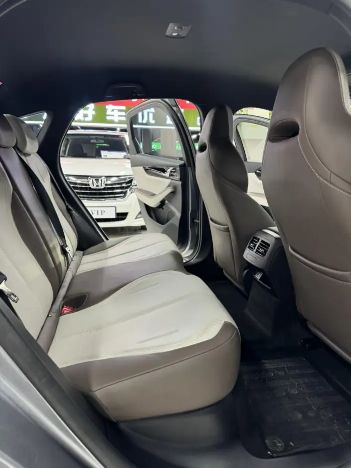 BYD Qin PLUS DM 2023 Model DM-i Champion Edition 55KM Leading Model – фото 10