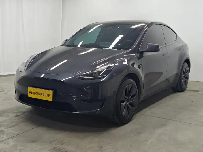 Model Y 2024 Model Rear-wheel drive version – фото 1