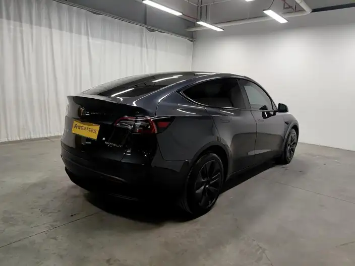 Model Y 2024 Model Rear-wheel drive version – фото 7