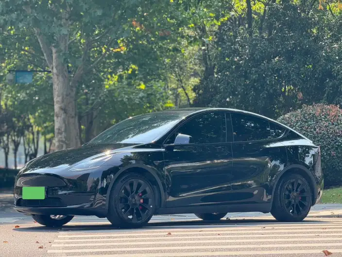 Model Y 2022 Model Facelift Rear-wheel drive version – фото 1