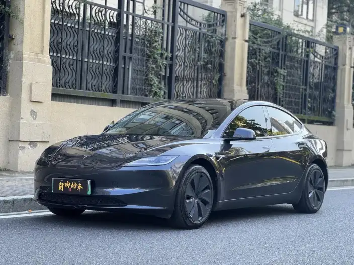 Model 3 2025 Model Rear-wheel drive version – фото 1