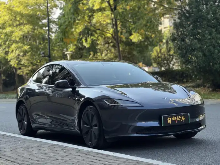 Model 3 2025 Model Rear-wheel drive version – фото 3