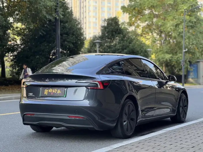 Model 3 2025 Model Rear-wheel drive version – фото 6