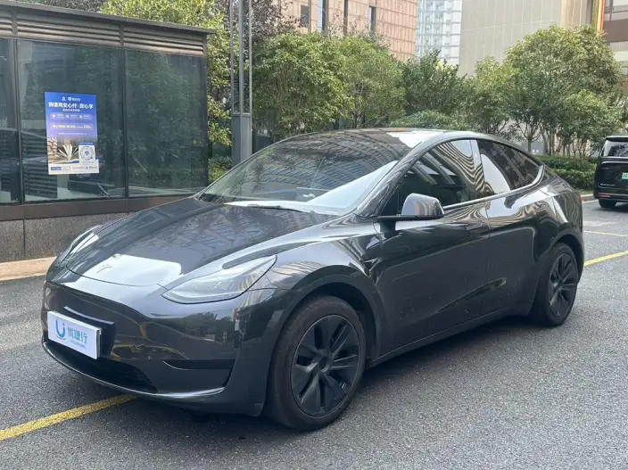 Model Y 2024 Model Rear-wheel drive version – фото 1
