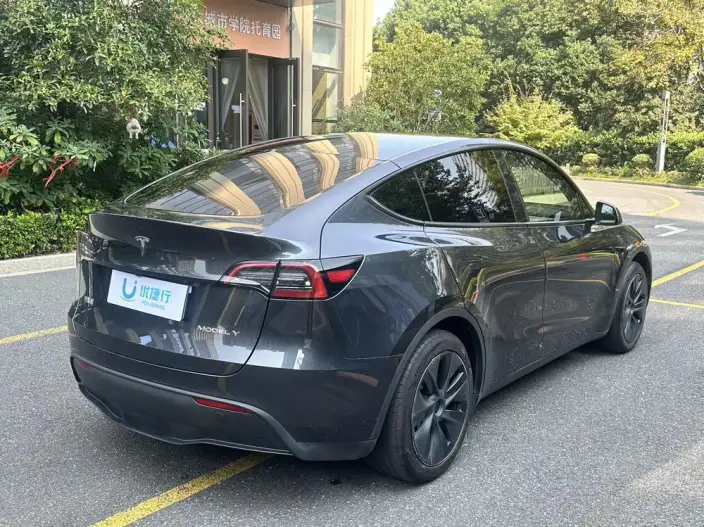 Model Y 2024 Model Rear-wheel drive version – фото 6