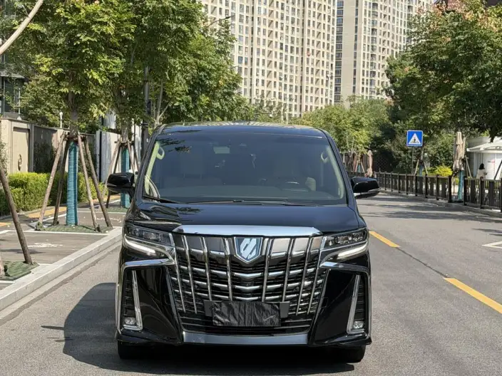 Elfa 2021 Model Hybrid 2.5L Premium