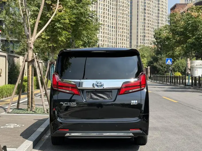 Elfa 2021 Model Hybrid 2.5L Premium – фото 5