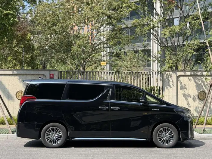 Elfa 2021 Model Hybrid 2.5L Premium – фото 7