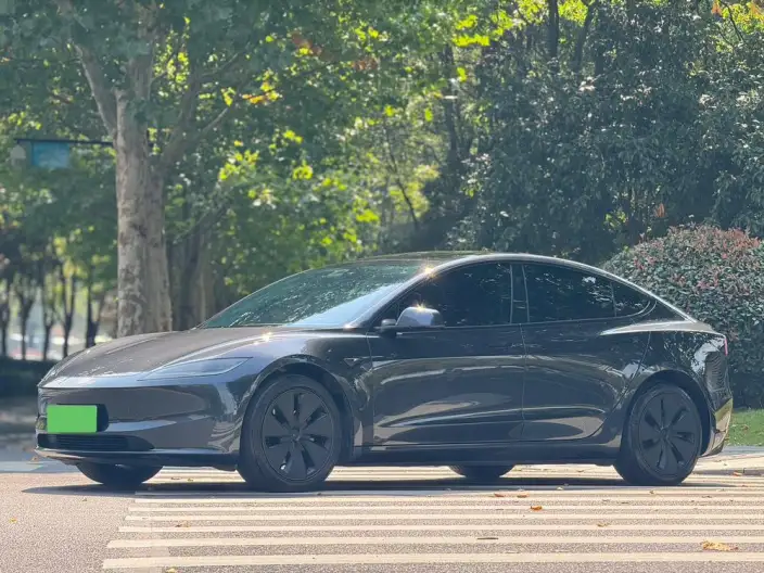 Model 3 2023 Model Long Battery Life Pro All-wheel drive version