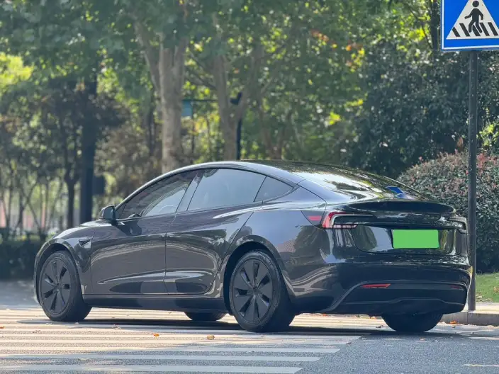 Model 3 2023 Model Long Battery Life Pro All-wheel drive version