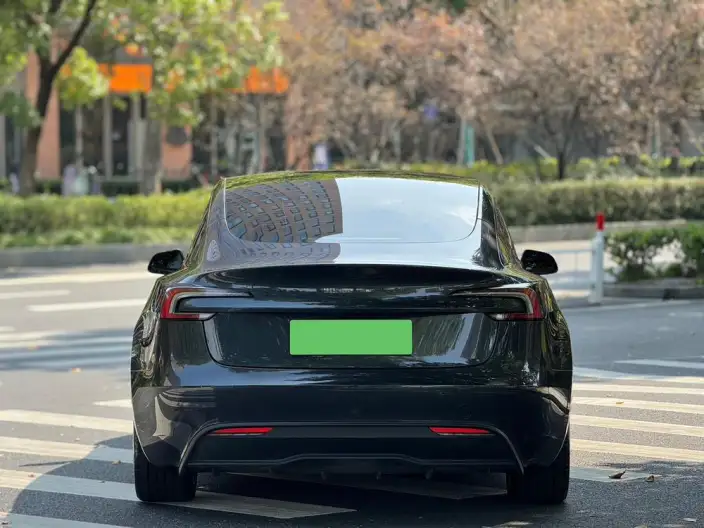 Model 3 2023 Model Long Battery Life Pro All-wheel drive version – фото 5