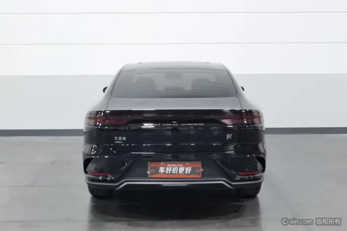 BYD Han DM 2024 Model DM-i Honor Edition 121KM Noble Model – фото 3