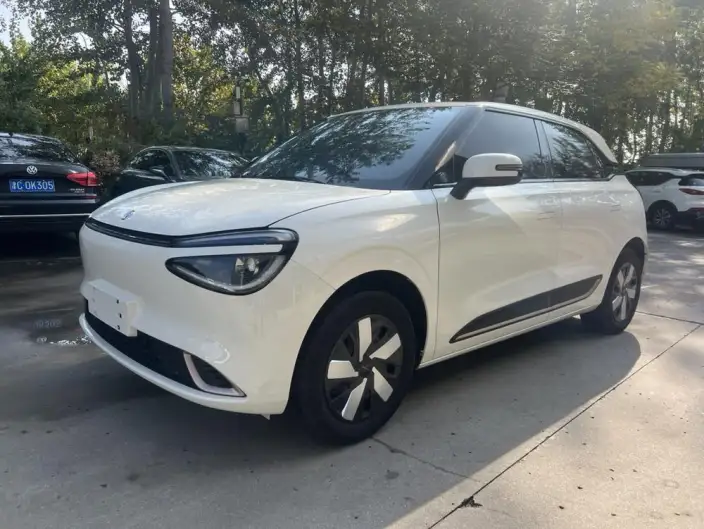 Dongfeng Nano 01 2024 Model 330Plus