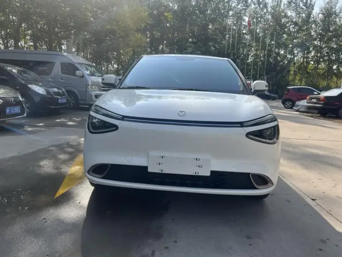 Dongfeng Nano 01 2024 Model 330Plus