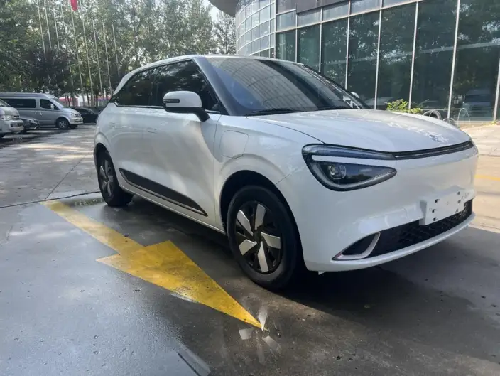 Dongfeng Nano 01 2024 Model 330Plus