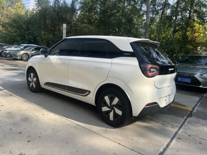 Dongfeng Nano 01 2024 Model 330Plus