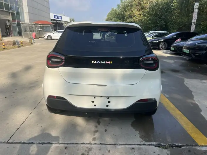 Dongfeng Nano 01 2024 Model 330Plus – фото 5
