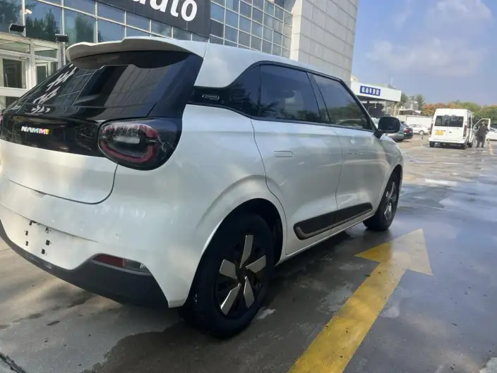 Dongfeng Nano 01 2024 Model 330Plus – фото 6