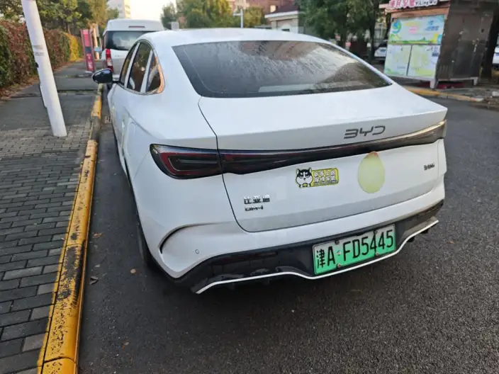 BYD Seal 06 DM 2024 Model DM-i 120KM Exclusive Model – фото 3